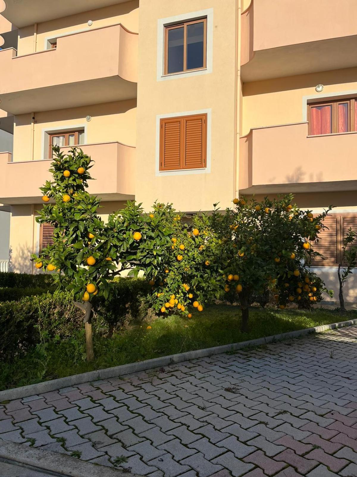 Villa Dei Limoni Škalngur Extérieur photo
