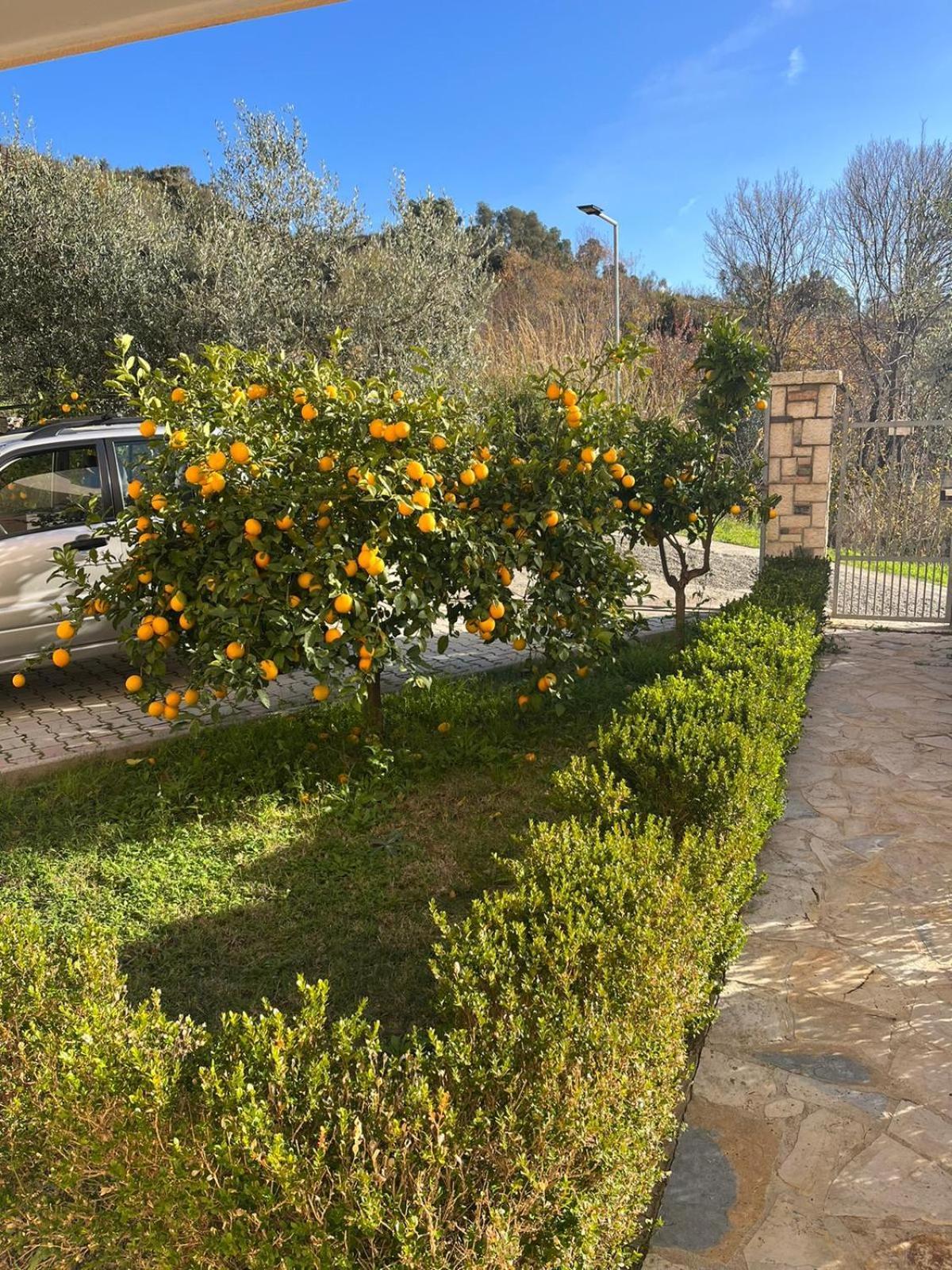 Villa Dei Limoni Škalngur Extérieur photo